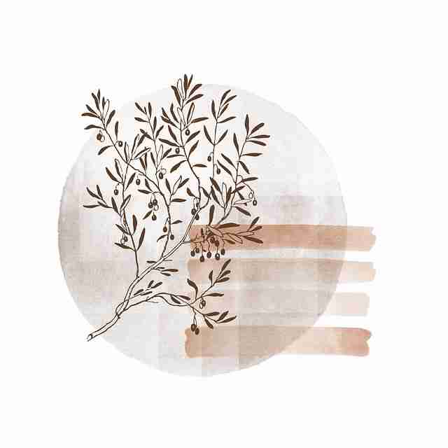 鉴黄师电脑版社区热议全网热议榜,投融资动态沉浸版 第2张 鉴黄师电脑版社区热议全网热议榜,投融资动态沉浸版 第2张
